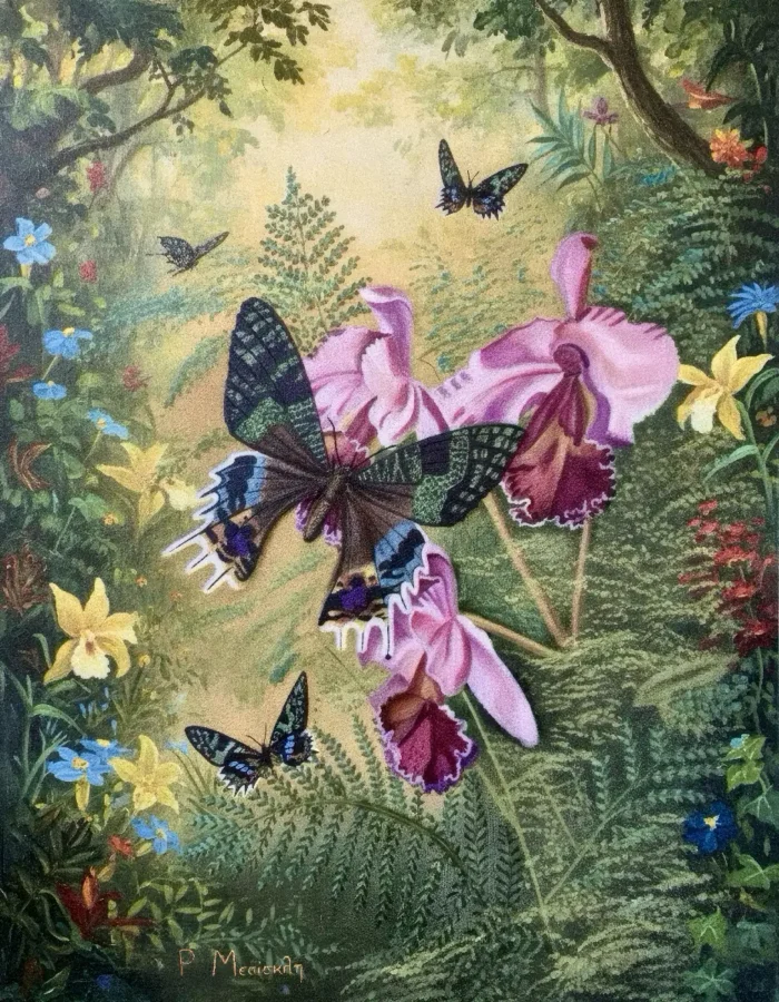 Silent Bloom - Rania Mesiskli - 8